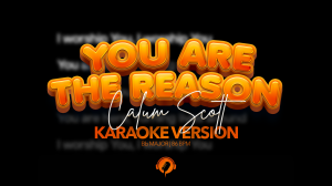 You Are The Reason – Calum Scott